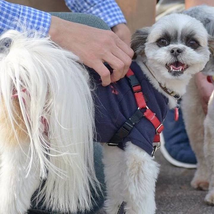 23466c36 5bdc 455c 84a5 cd2bd790325f