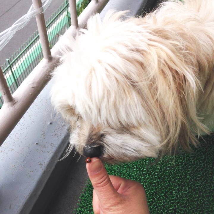 2346885b 3ae7 4baa b064 0dd6ee319237