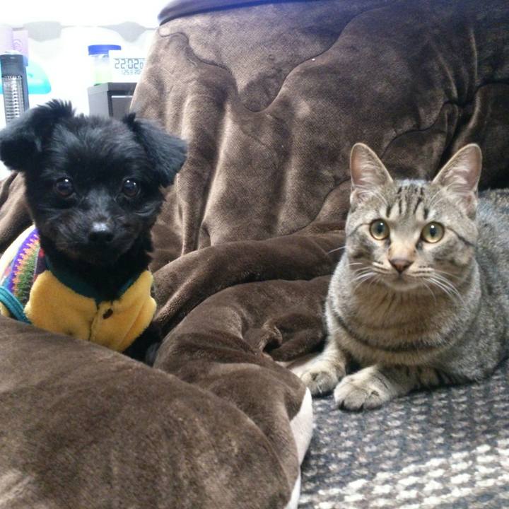 23469889 e94c 4c1f b08d 44ae02b1e96d