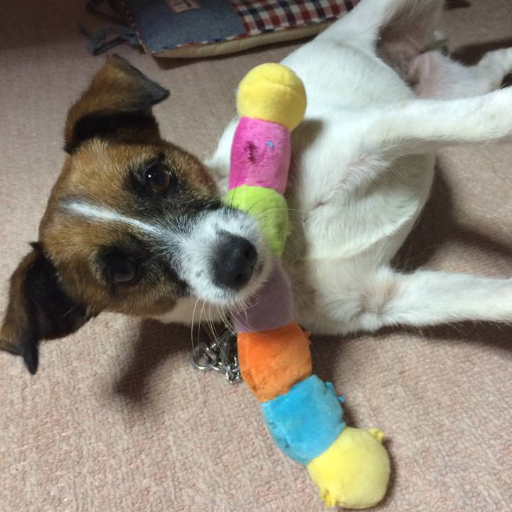 23469e78 3020 40e4 a734 3322bd5ce51b