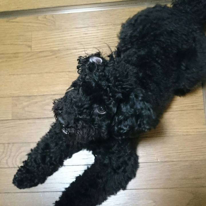 2346eabc 83d1 4743 92a1 cf573be1c441