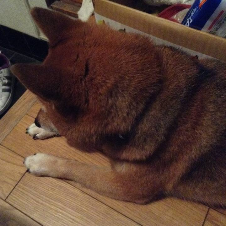 2346fe90 7acc 4b0d 876f dc5914e7c6a2