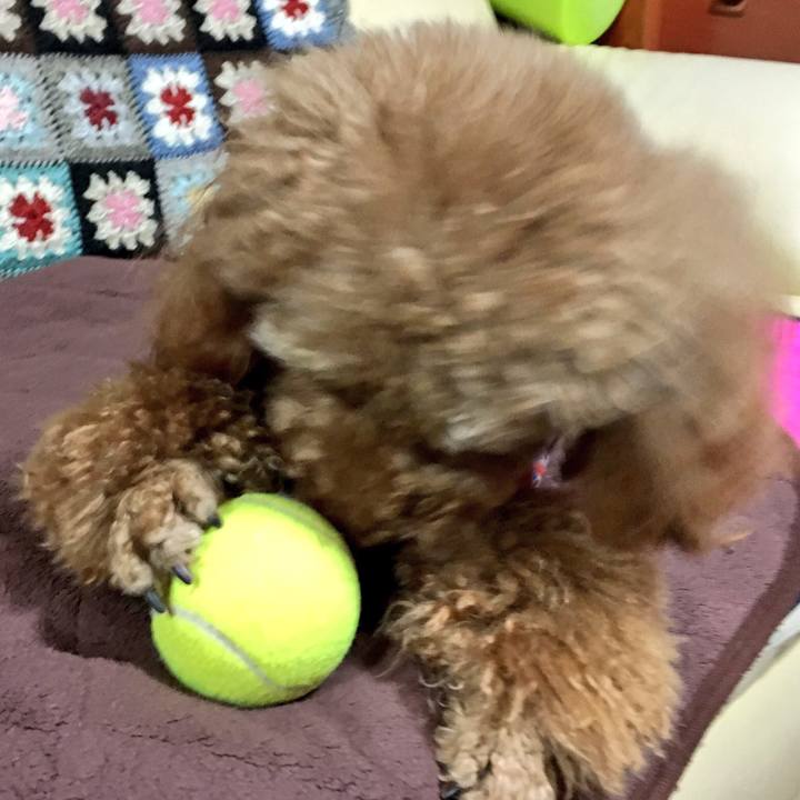 234738bc 3275 4e13 90dd cb8b17385e8b