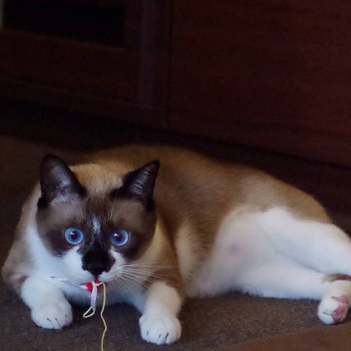 2347aa52 ff82 4995 8de9 c6bde97be839