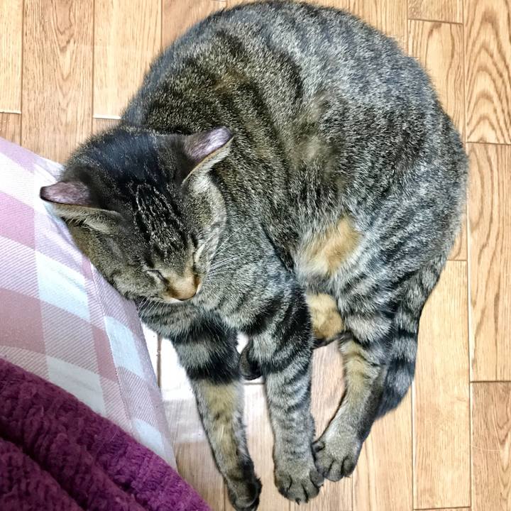 2347d2cd 3566 400f a273 2215fb381ef2