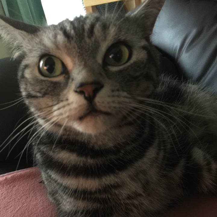 2347e012 80ac 4f05 bc07 d729792eac01