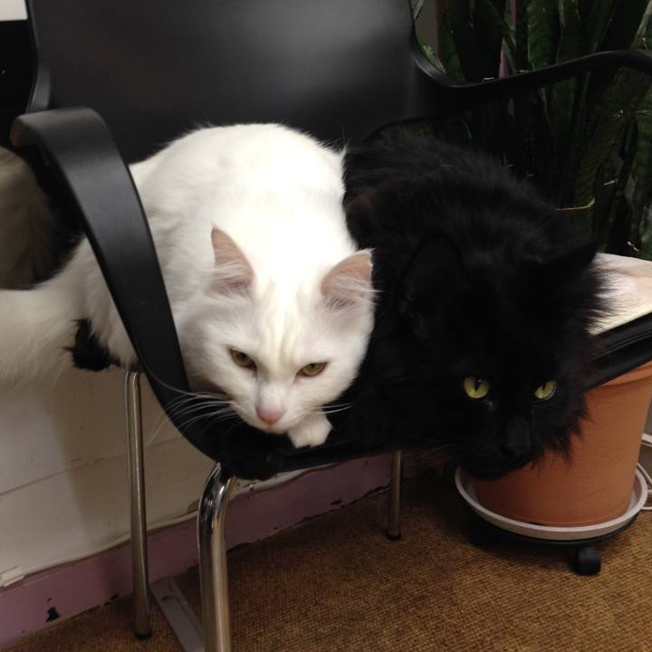 234831fc 3e08 4c65 ab14 86d930aa8168