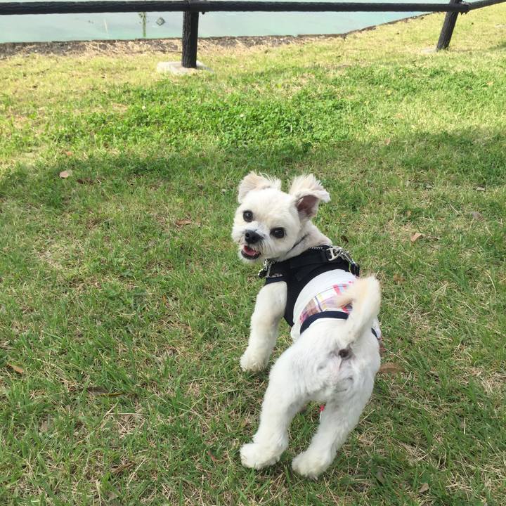 23483b2d a094 40d9 874f 2fed86bda072