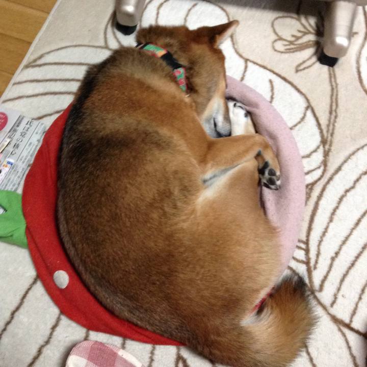 23486b7f 22bf 4981 828e 25b5a8d45950