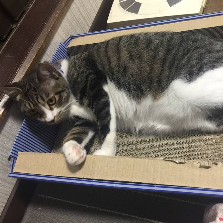 2348df2d 6359 4123 86f4 cd9438e9ef2f