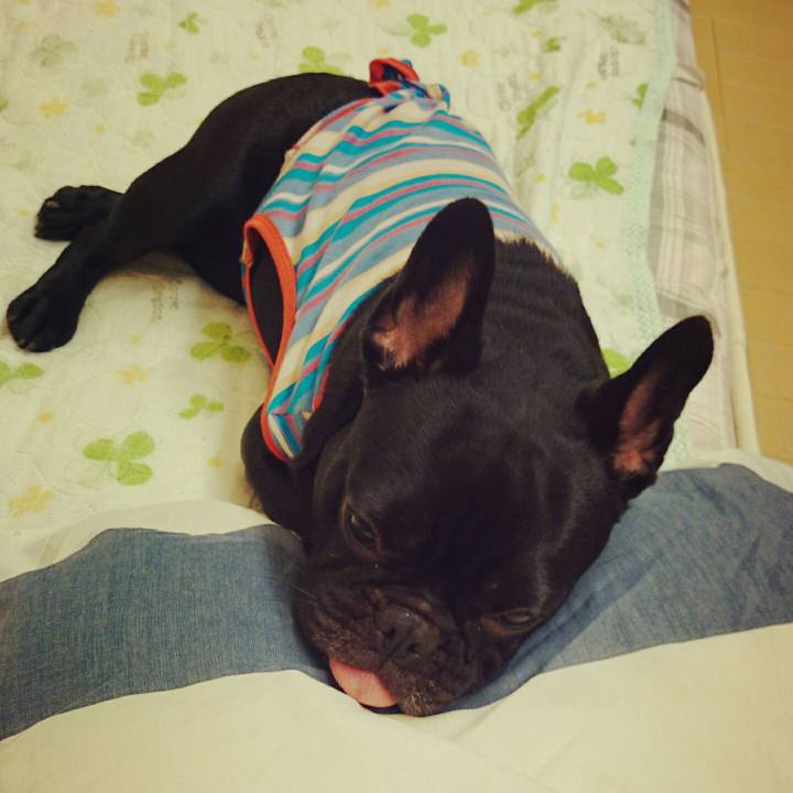 2349394a cbfc 485e ba4c aee2f1676f17