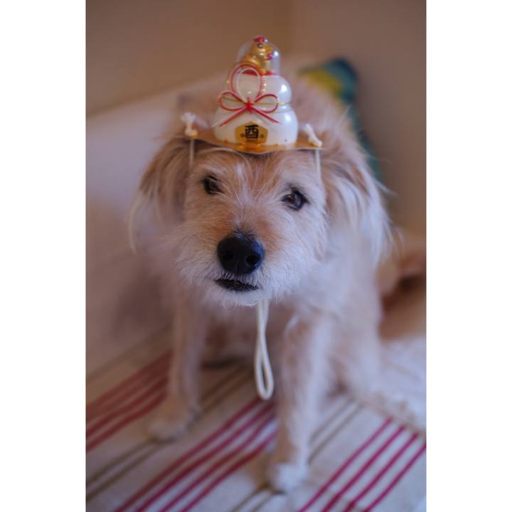 234960e6 bcc7 47cb 82b9 3b69894562fd