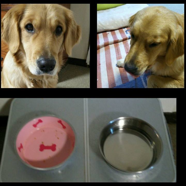 2349cdec 5868 438f 9515 73a70ab5751e