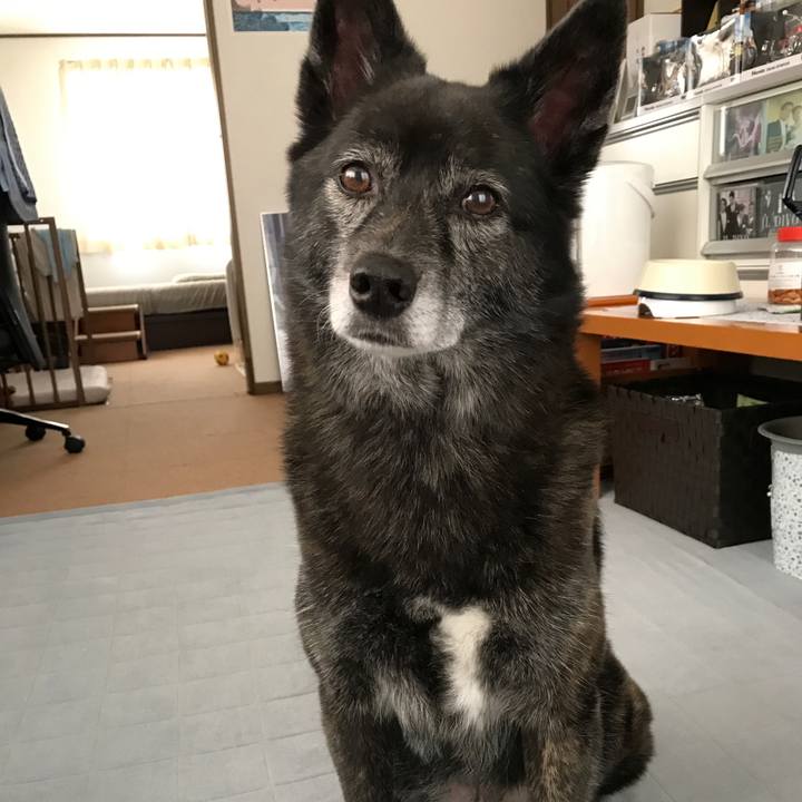 234a1b36 9151 4252 9d32 305de23cf4c9