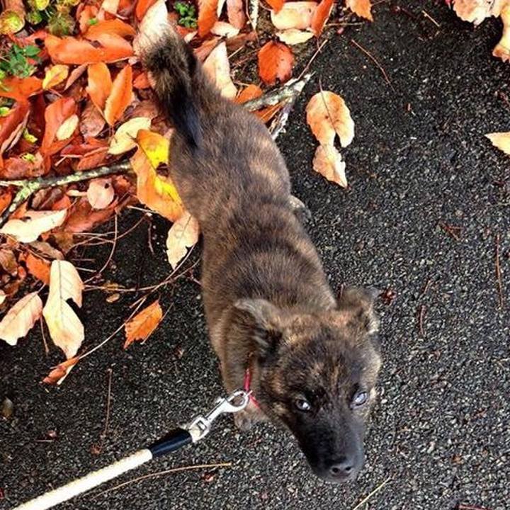 234b30d1 a679 4552 b24c 5fb163924b77