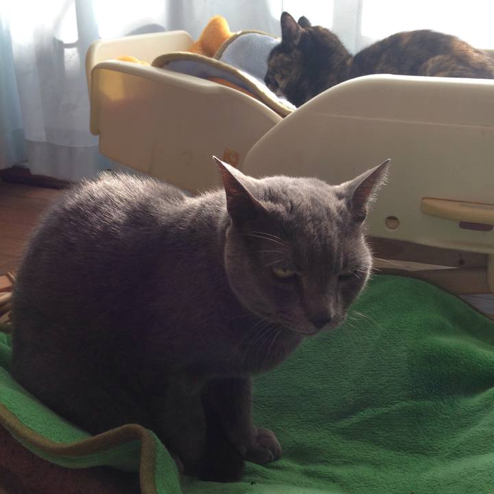 234b576d 1ef1 4063 a0a1 d8fc1f0d2f47