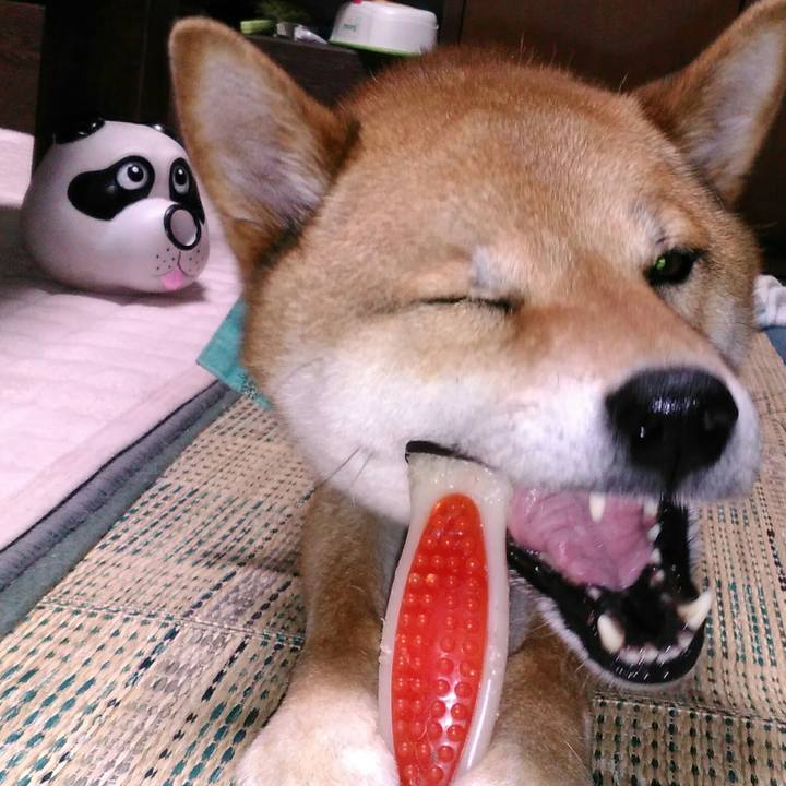 234bbb96 59d5 40fe 8e8b 527db7f4cec9