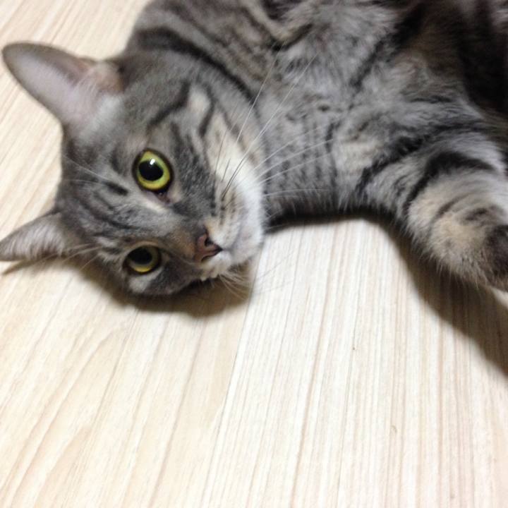 234bbe41 f8bf 4290 ae72 4d1ad07c7276