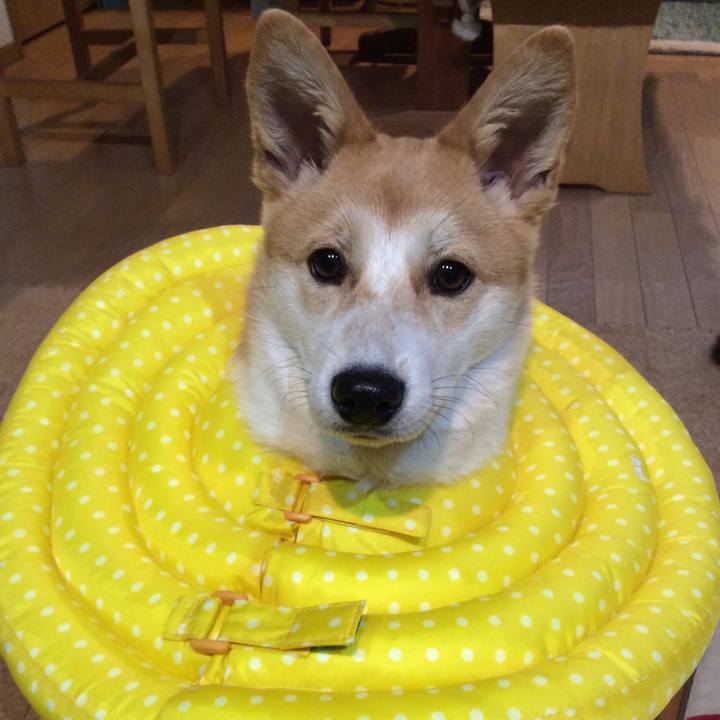 234c79a1 3abd 4123 9fe6 cd088ad85739