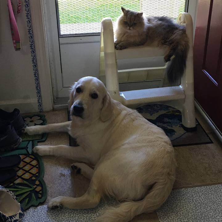 234d0123 7a01 4ea2 83d4 e3fbf2257e79