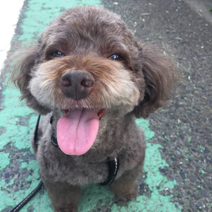 234dce22 fac7 426b a110 69fdc5c72295