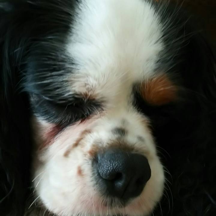 234e4879 1c37 47c3 b04b d3ced80dd200