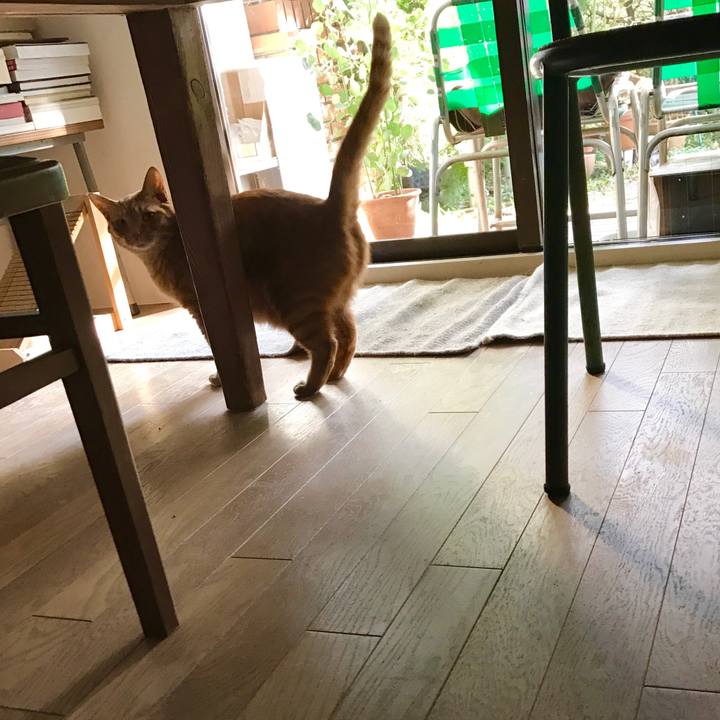 234eca00 05e8 48b7 b84d 406f5e8971d4