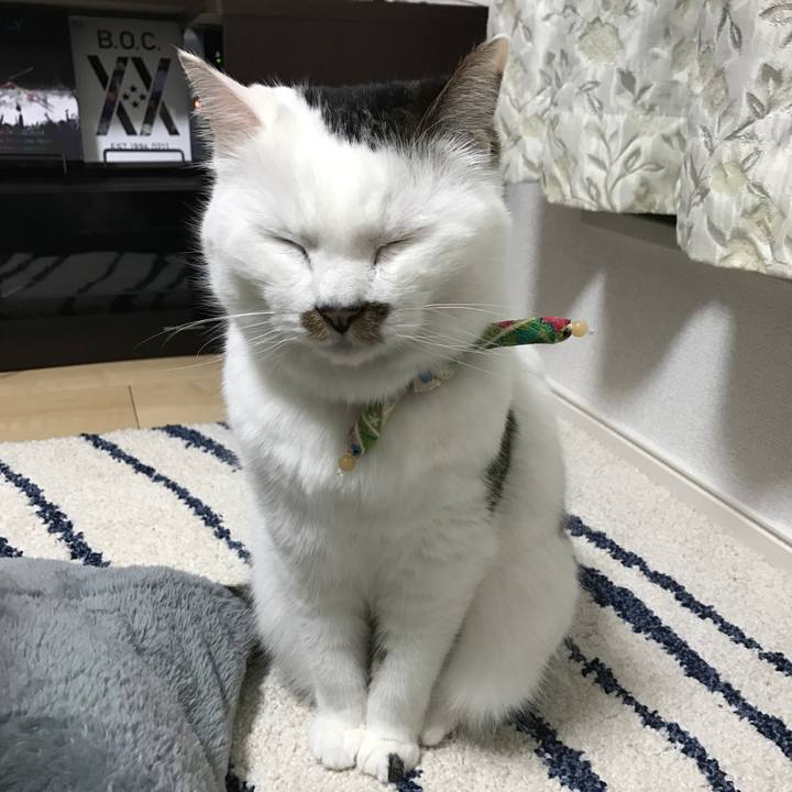 234efd6c 2b69 42b3 b35a b7863a9e12d6