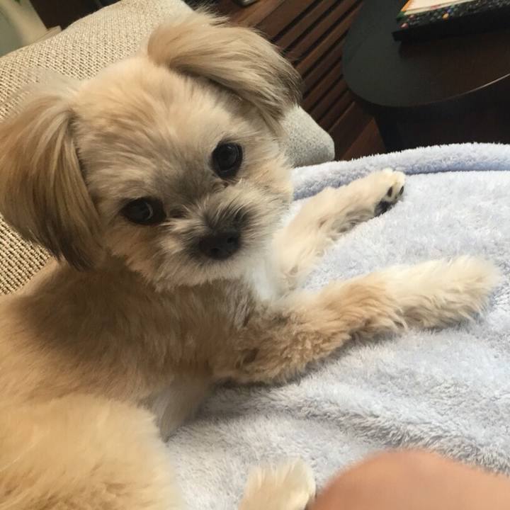 234f3f97 a478 4086 876b 4fe5b909264c