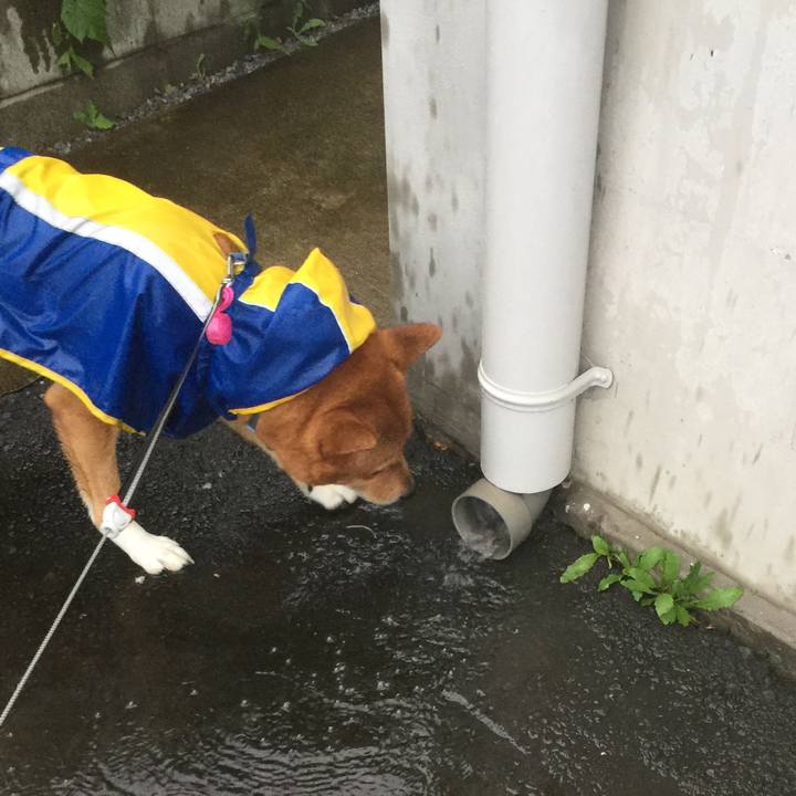 234fa300 20f5 4fc1 87f1 73e22af1455d