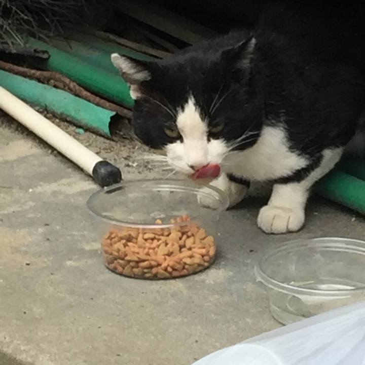 234fc0a3 4443 4b01 82fe 7e2cd4ab103b