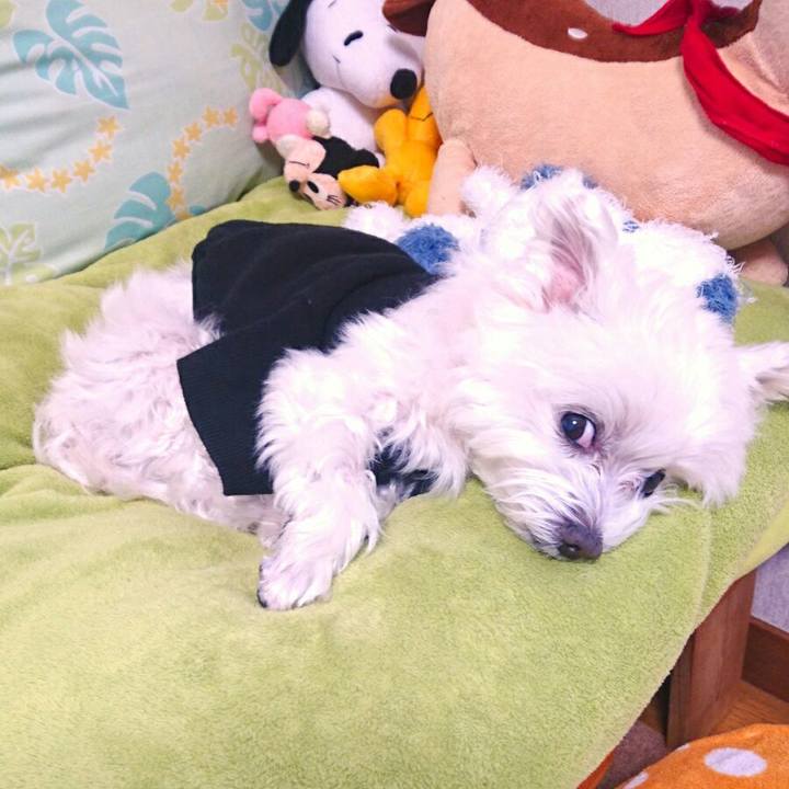 23507816 832f 440f 8aa3 65964b26ff4f