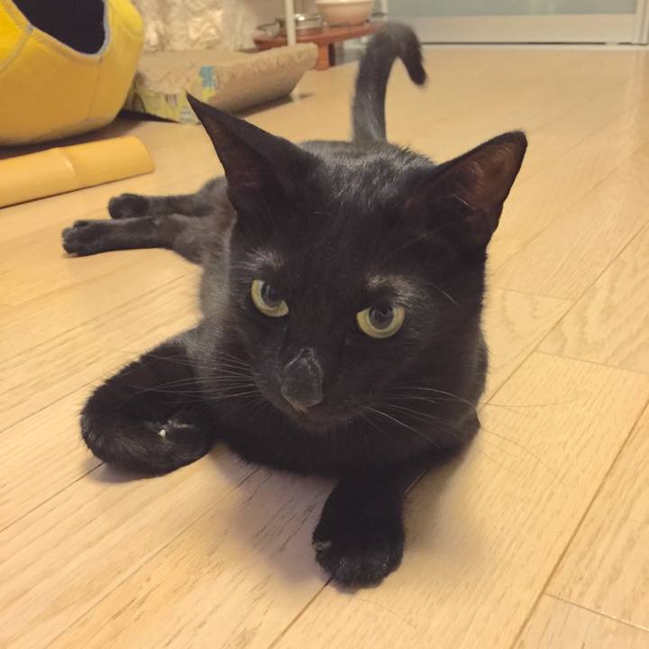 2350cc2b 0597 4bcf 9e58 6dd2dad38fb2