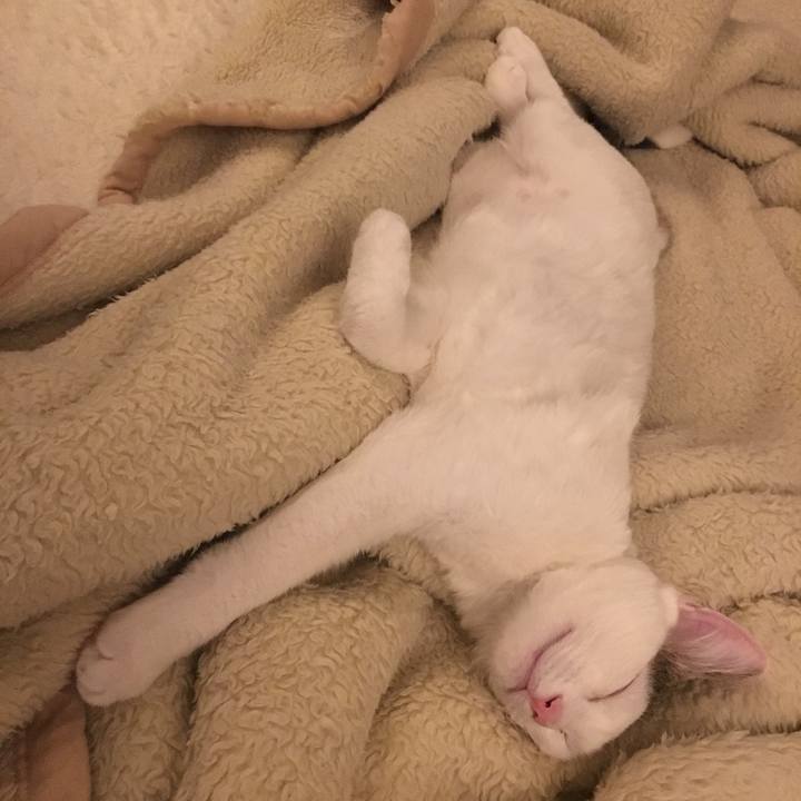 2351cdda b6da 464c af7d afc383cb0774