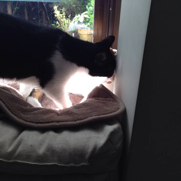 2351eaf5 a8ee 4a06 8db0 259e06d0ef3c