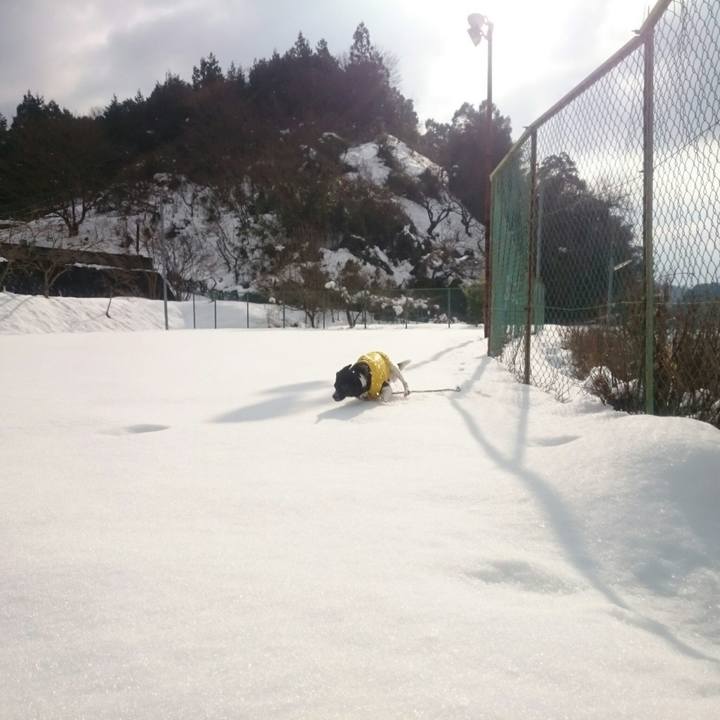 2352ae89 1d69 4a51 bf1d bae52101d252