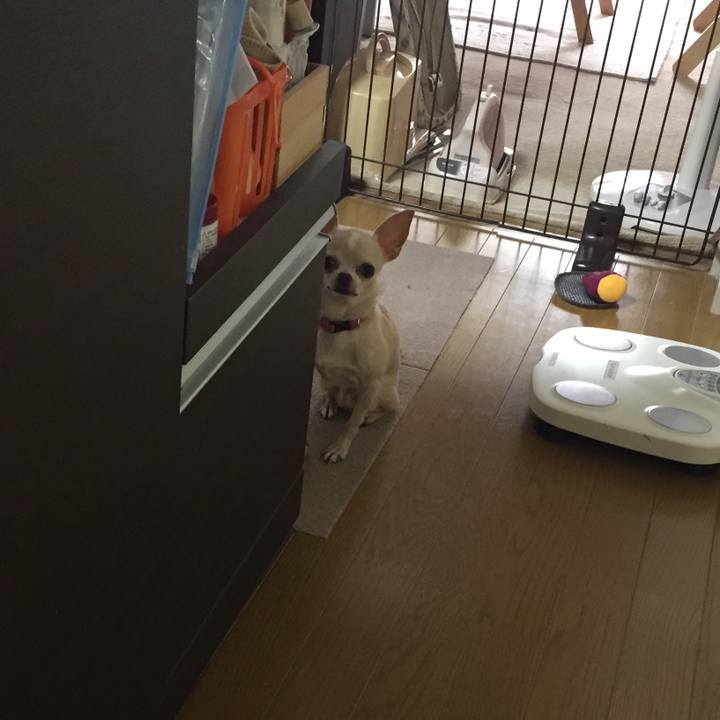 23535551 2f21 44b5 a82a 2cea85fdf08e