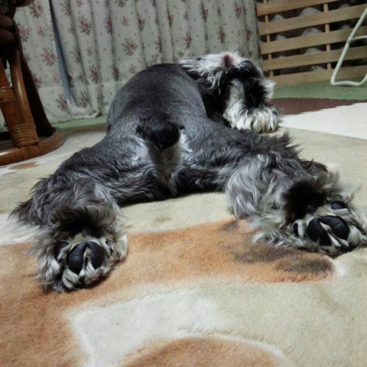 23539ba1 2461 4287 b243 f80fa77c0b39