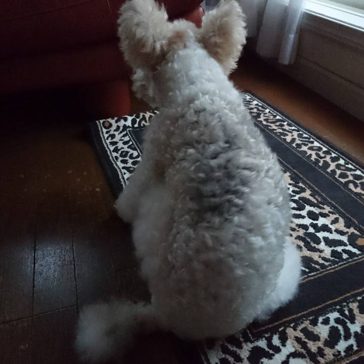 2353a806 11c3 495c bbfd ea430fdfe4fd