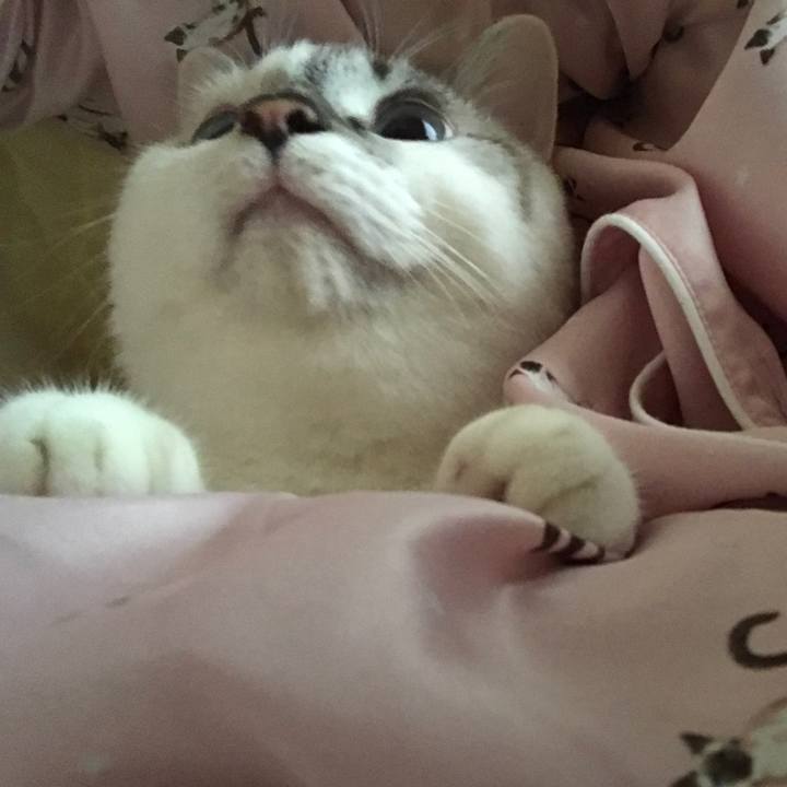 23542bda a535 4c6f 93d1 13dbb4b8db71