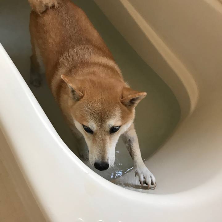 2354e3e7 e946 42ab 9e68 17740702b122