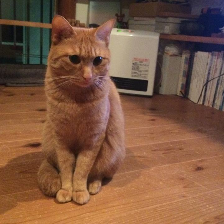 2354e9f5 00aa 4e18 a3de e35ef1e9edf1