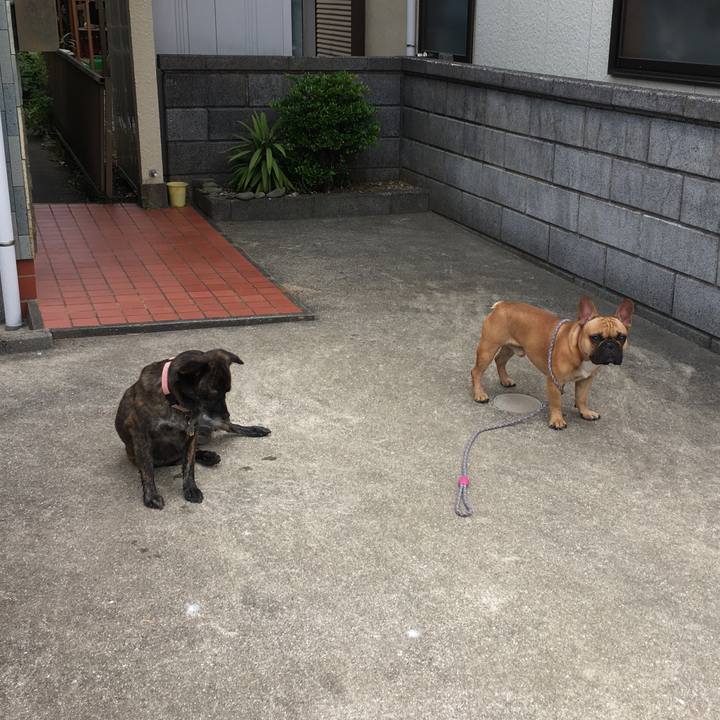 2356b935 2187 49be 91df 48b9f59f0934