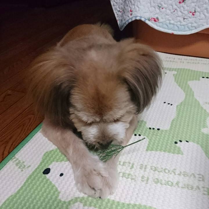 23577523 a18b 4f32 a79f 6db173be8ef7