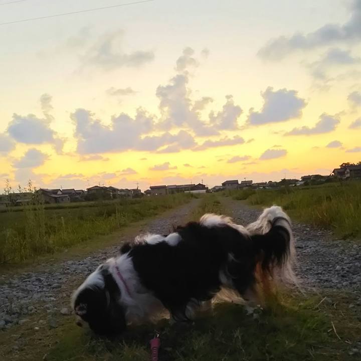 23590101 afa3 49c1 9899 492257aeac79