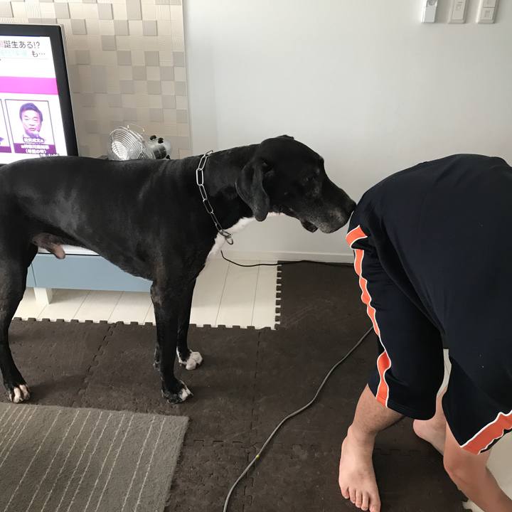 23590f53 d655 40bf 9324 c38f0199f57e