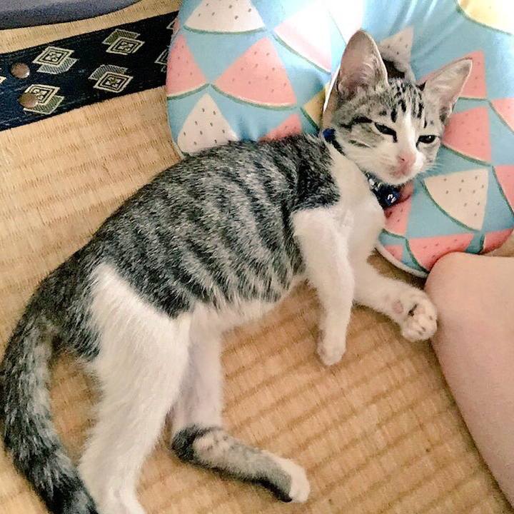 2359b32c 840b 438b b937 0db4a35f1831