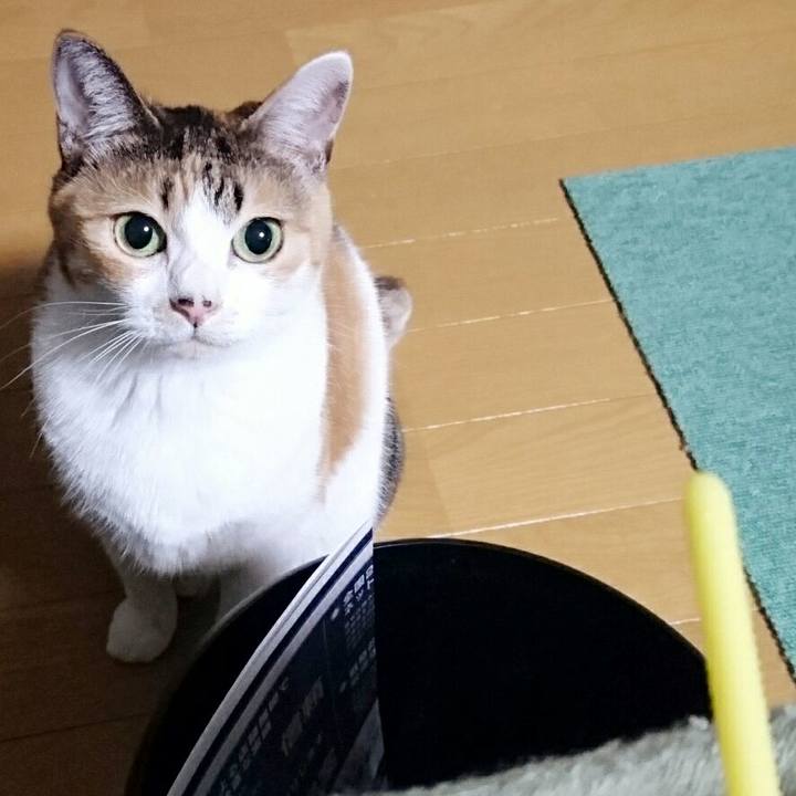 2359d3be b0e0 48fa a4f2 adea2014700a