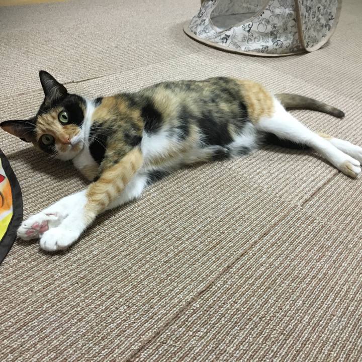 2359d553 8e3e 4e1d 9565 29acc1a3744c