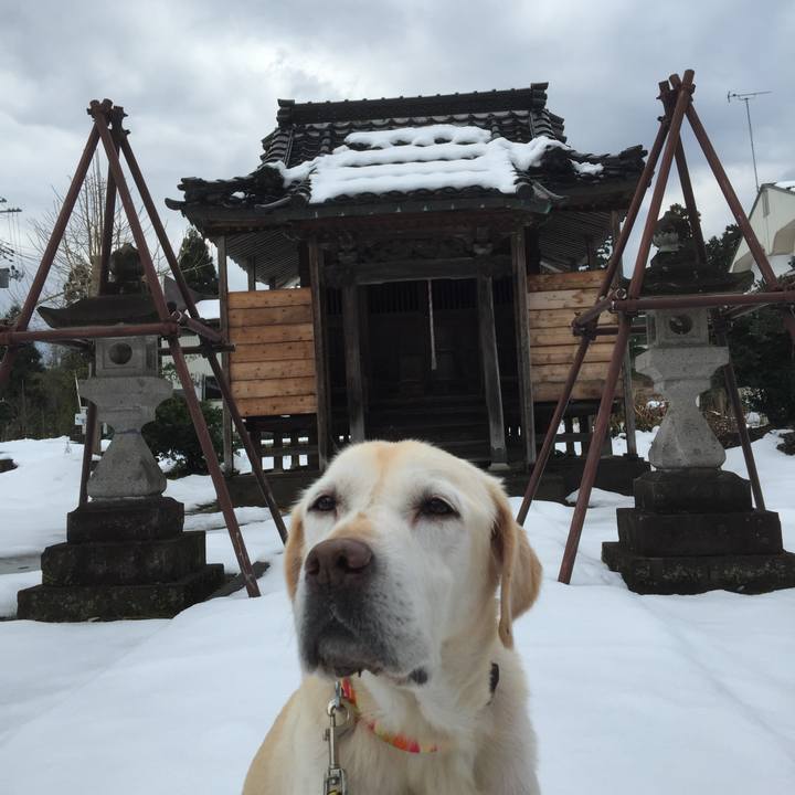 235a24c2 cd46 489c 8363 cd927247f506